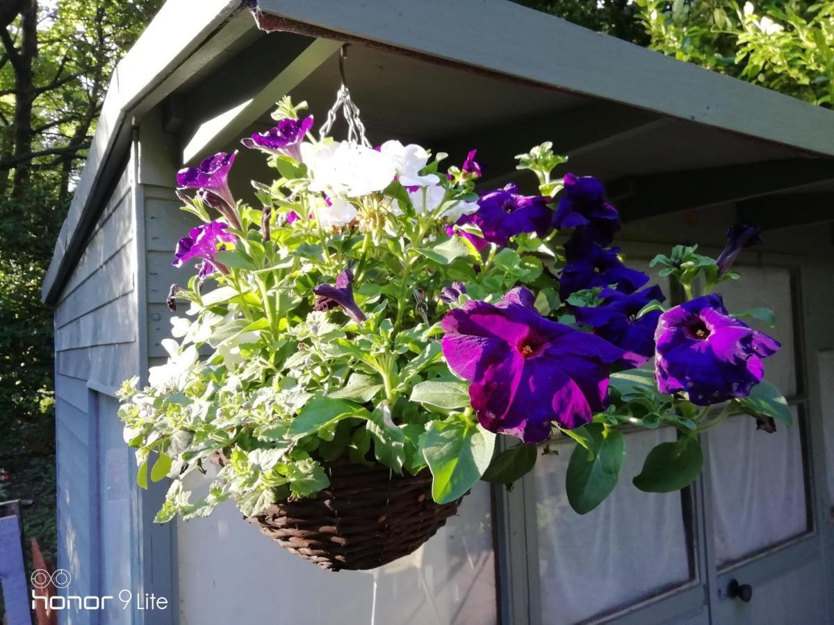 Ferienhaus Lowood